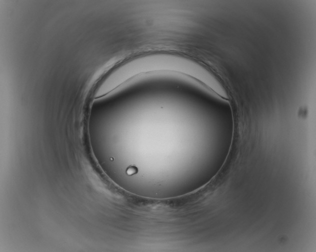 X0000114170395200910221655