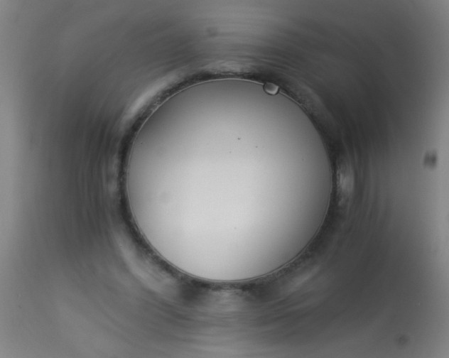 X0000114170396200910221655