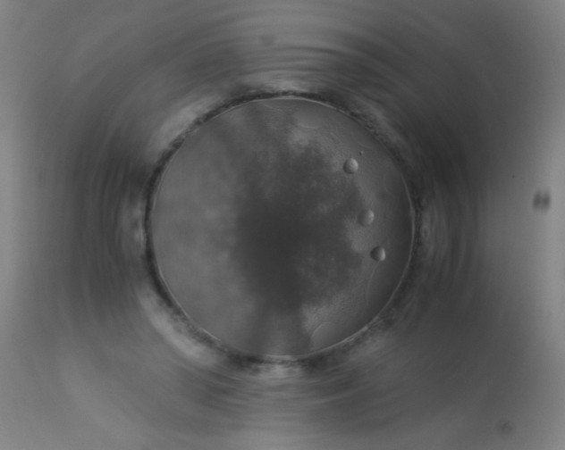 X0000114170398200910221655