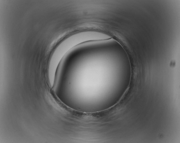 X0000114170399200910221655