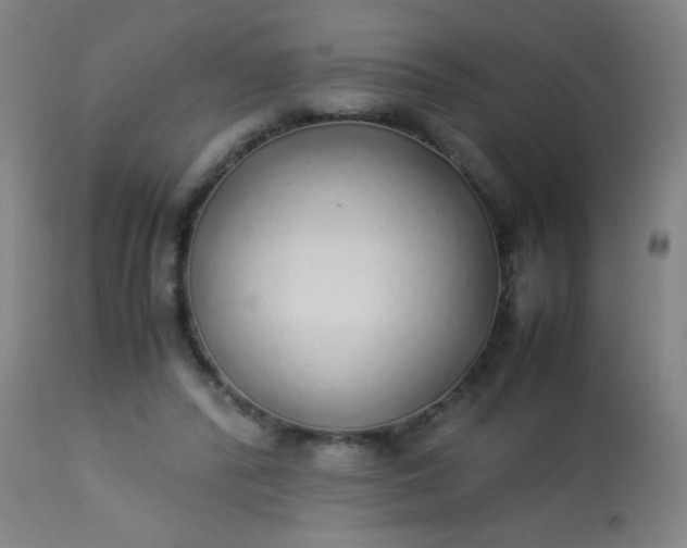 X0000114170400200910221655