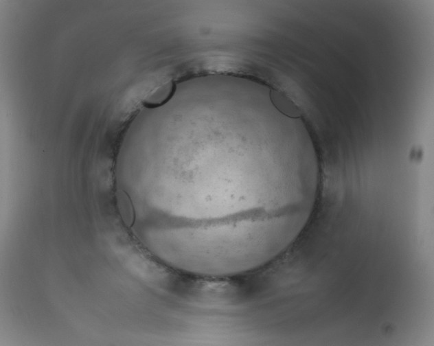 X0000114170401200910221655