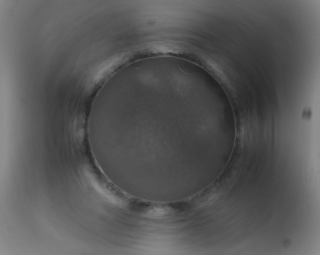 X0000114170402200910221655