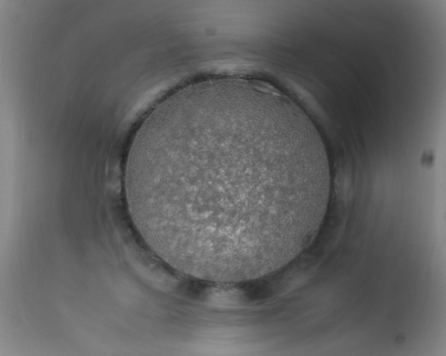 X0000114170403200910221655