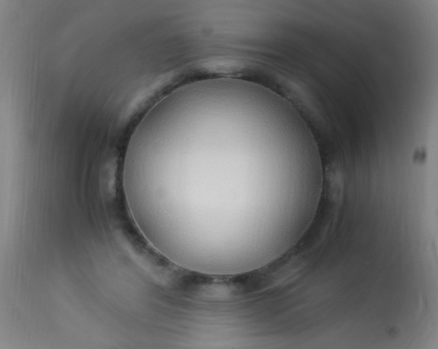 X0000114170404200910221655