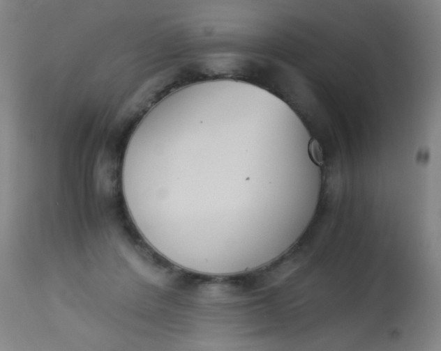 X0000114170408200910221655