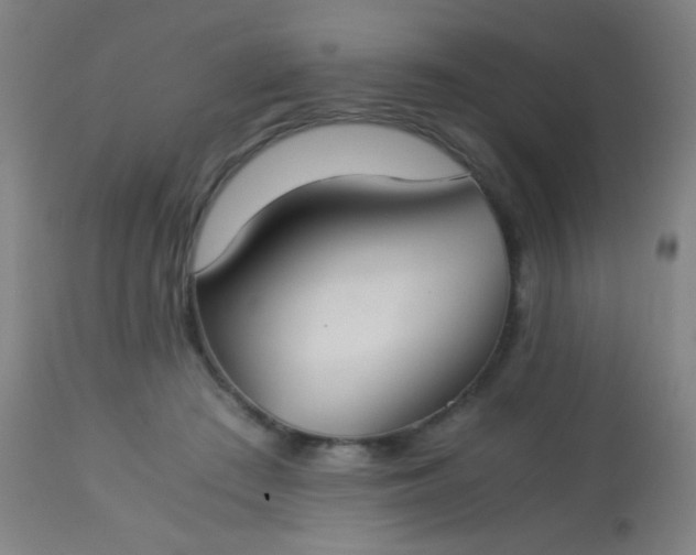 X0000114170409200910221655