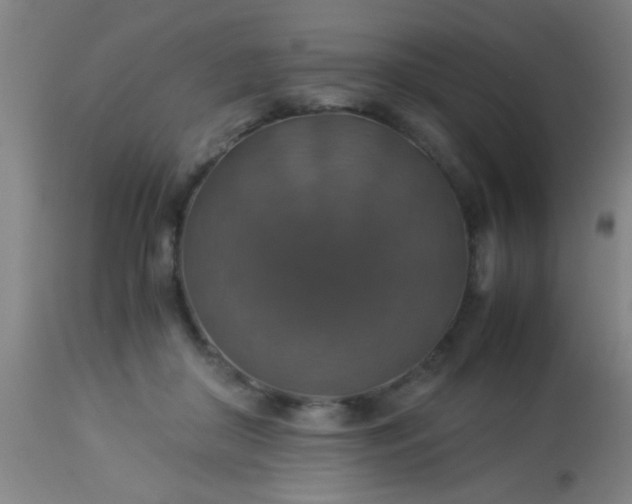 X0000114170410200910221655