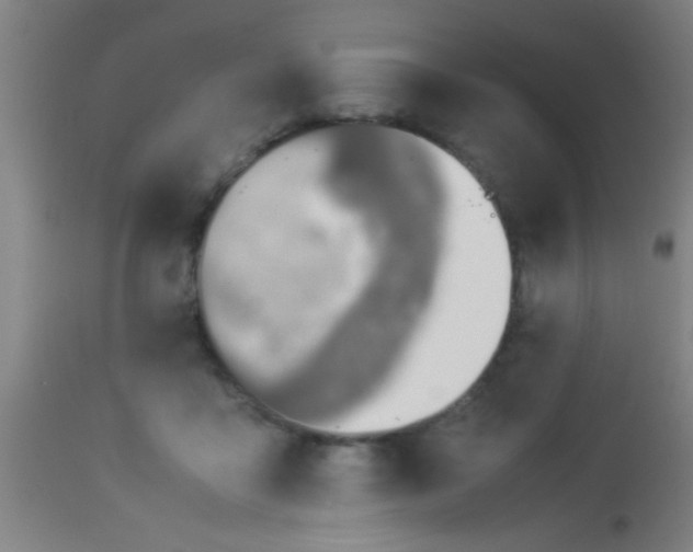 X0000114170411200910221655