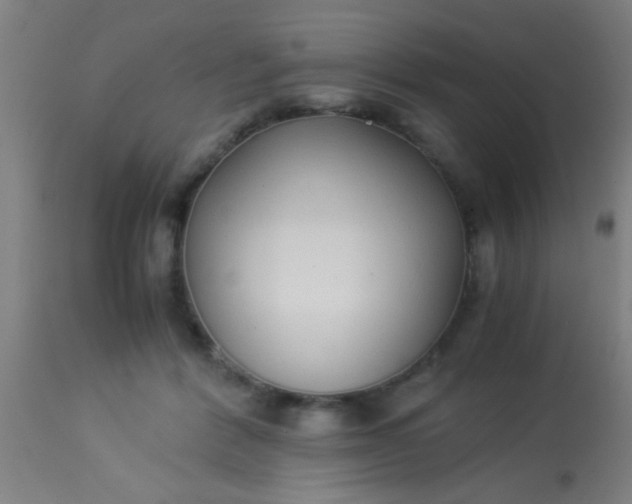 X0000114170412200910221655