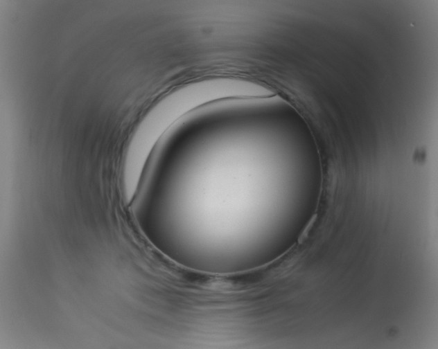 X0000114170413200910221655