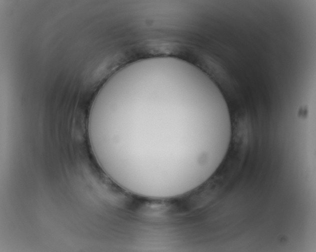 X0000114170414200910221655