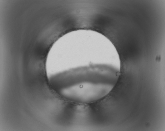 X0000114170415200910221655