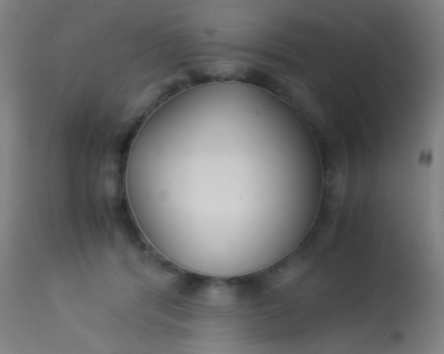 X0000114170416200910221655