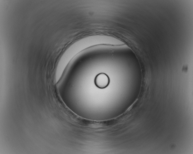 X0000114170417200910221655