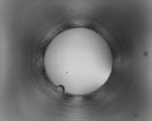 X0000114170418200910221655