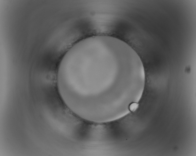 X0000114170419200910221655