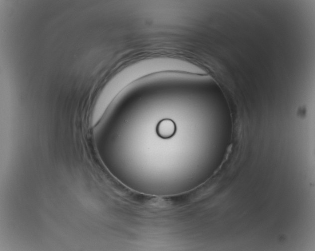 X0000114170421200910221655