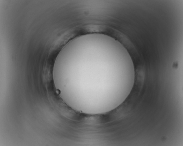 X0000114170422200910221655