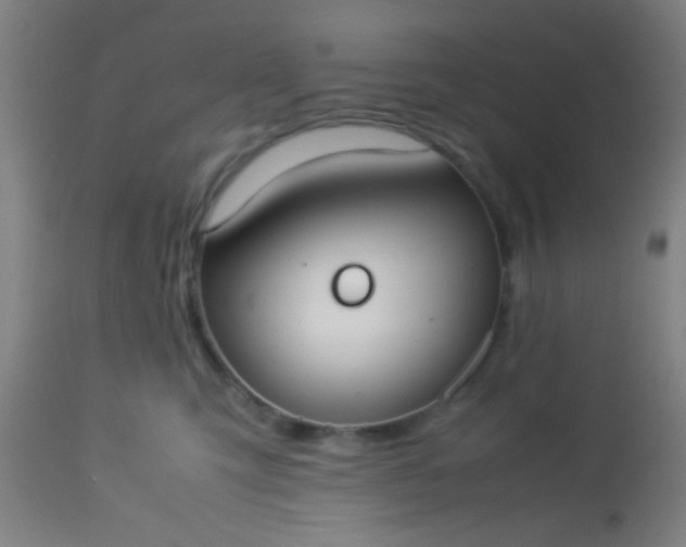 X0000114170423200910221655