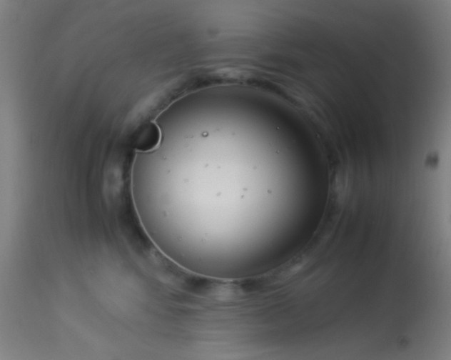 X0000114170424200910221655