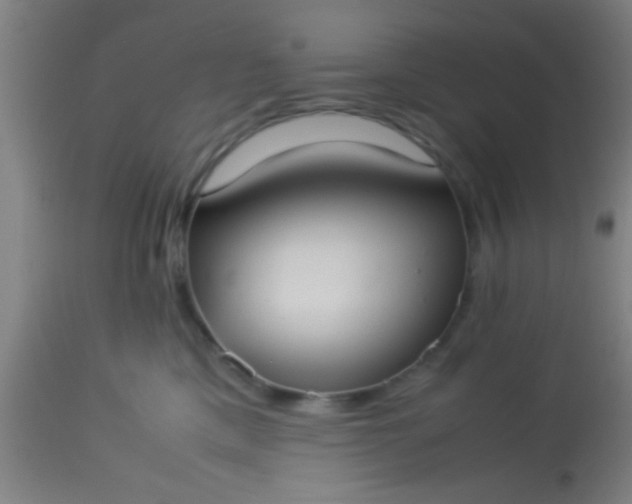 X0000114170425200910221655