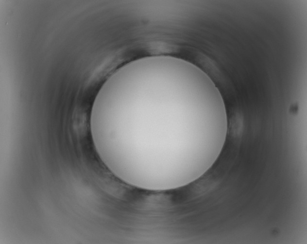 X0000114170426200910221655