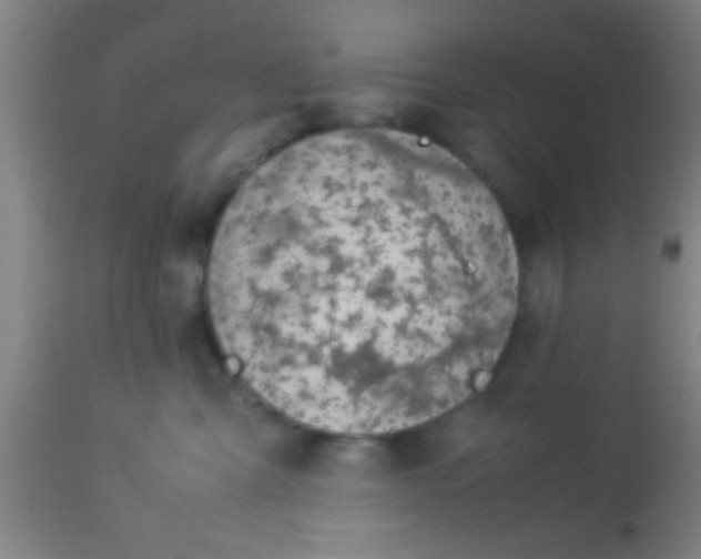 X0000114170427200910221655