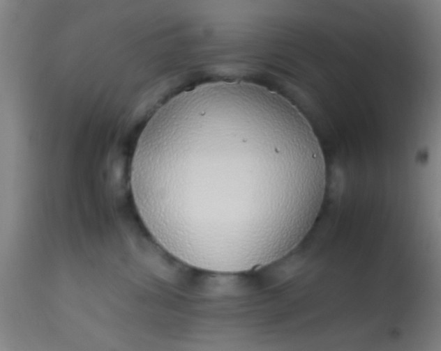 X0000114170428200910221655