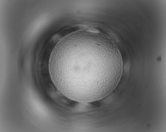 X0000114170429200910221655