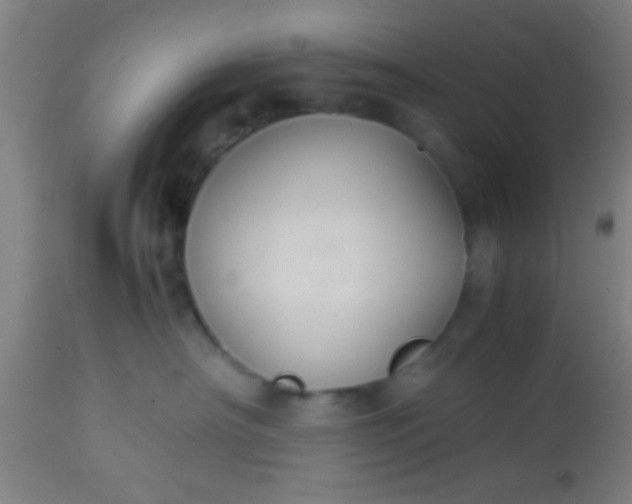 X0000114170430200910221655