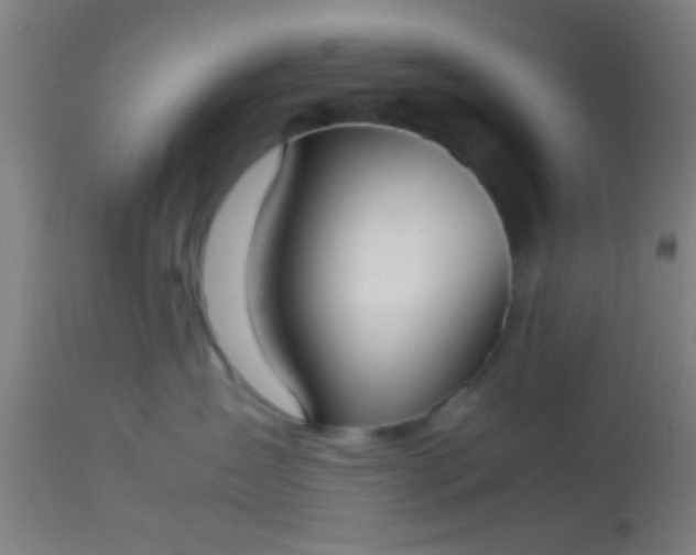 X0000114170431200910221655