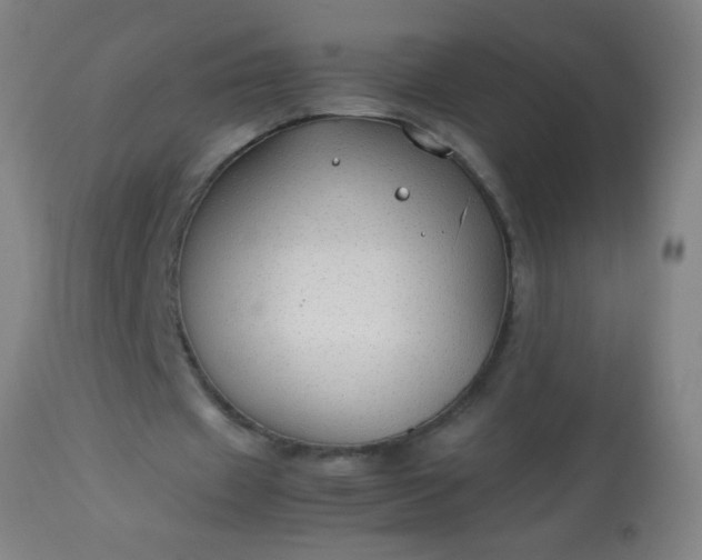 X0000114170433200910221654