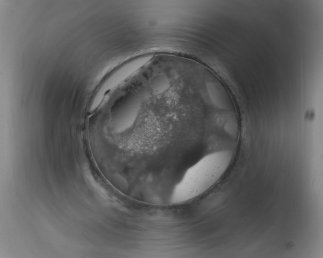 X0000114170434200910221654