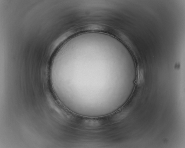 X0000114170435200910221654