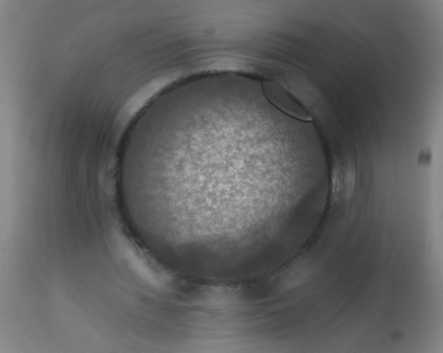 X0000114170436200910221654