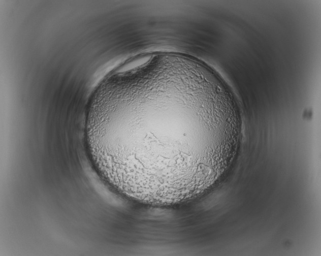 X0000114170437200910221654