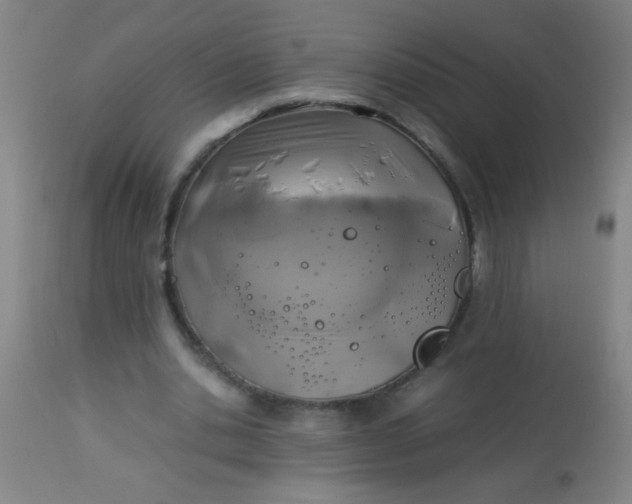 X0000114170438200910221654