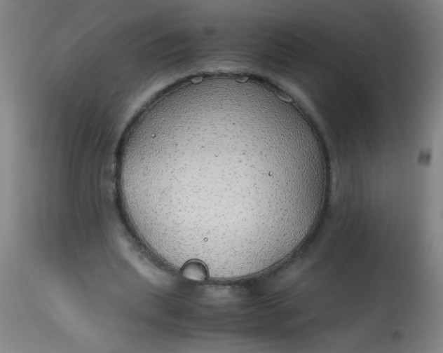 X0000114170439200910221654