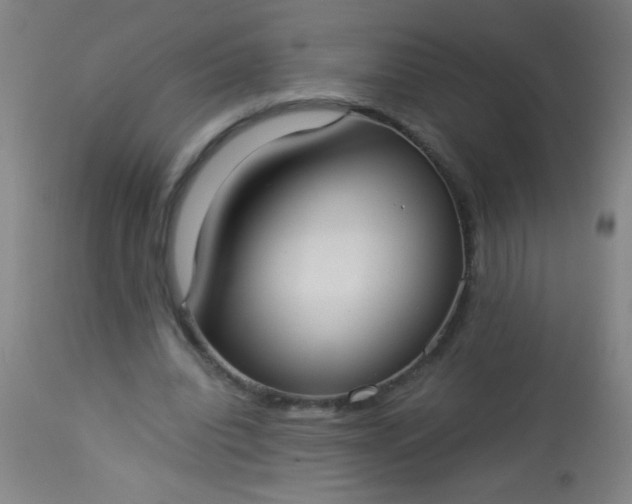 X0000114170440200910221654