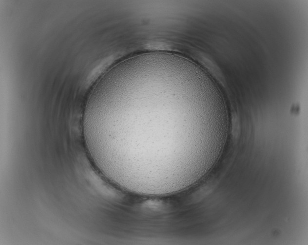 X0000114170441200910221654