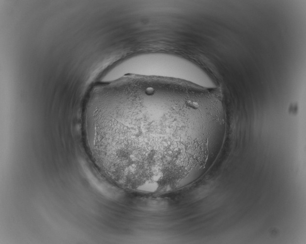 X0000114170443200910221654