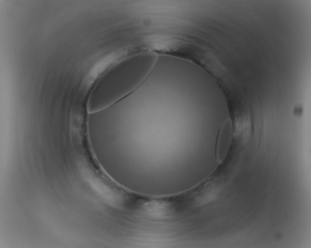 X0000114170444200910221654