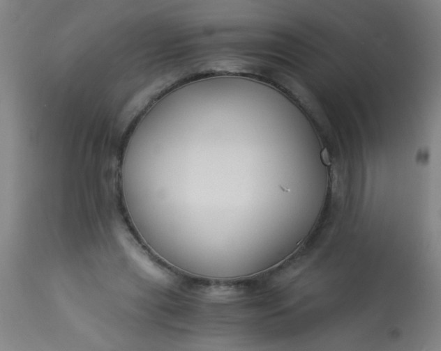 X0000114170445200910221654