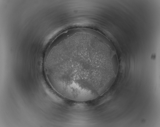 X0000114170446200910221654