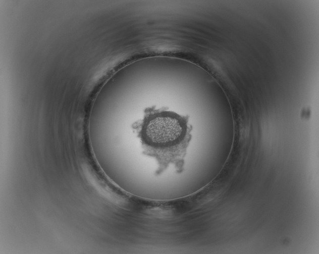 X0000114170447200910221654