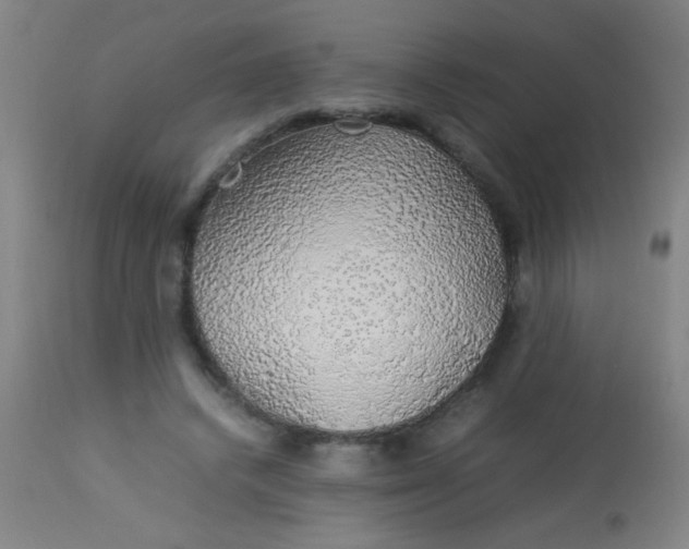 X0000114170448200910221654