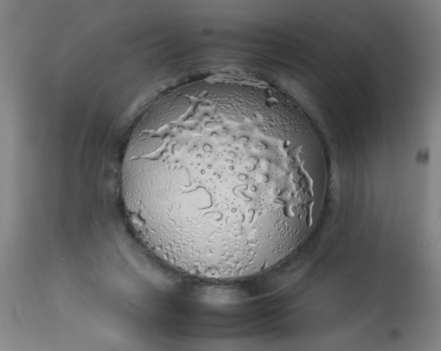 X0000114170449200910221654