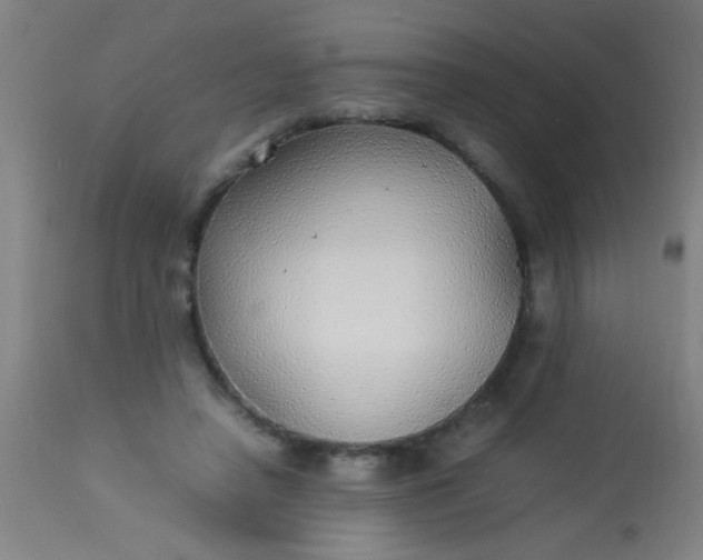 X0000114170450200910221654