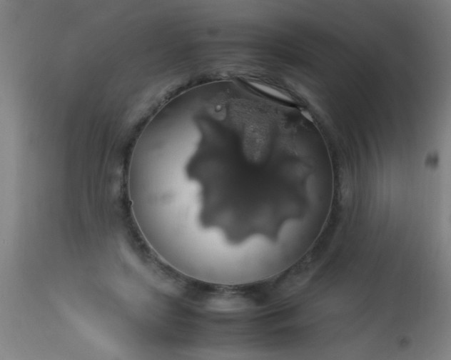 X0000114170451200910221654